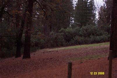 14298 Dog Bar Rd, Grass Valley, CA 95949 photo 6
