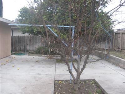 413 Grenache Ave, Modesto, CA 95358 photo 5