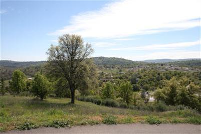 2301 Chief Rd, Copperopolis, CA 95228 photo 5
