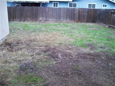 1901 Johnson Ave, Dos Palos, CA 93620 photo 4