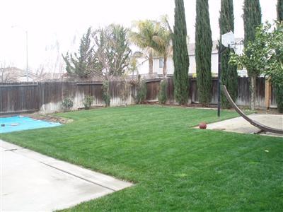 3781 James W Smith Loop, Tracy, CA 95377 photo 3