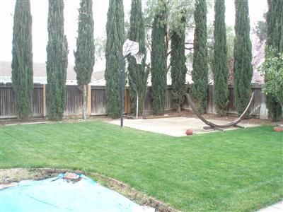 3781 James W Smith Loop, Tracy, CA 95377 photo 2