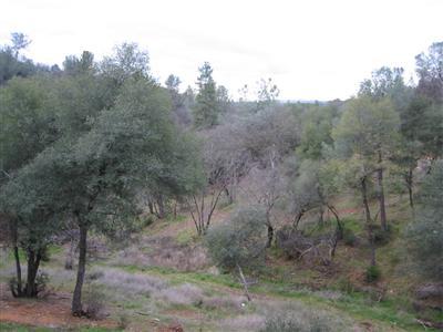 3160 Star Haven Dr, Placerville, CA 95667 photo 3