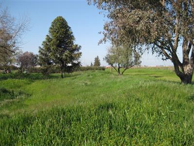 14821 Escalon Bellota Rd, Escalon, CA 95320 photo 2