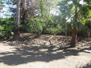 665 W Brannan Island Rd, Isleton, CA 95641 photo 2