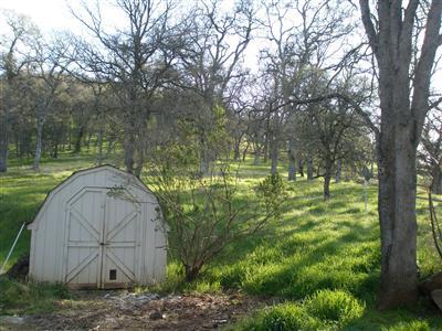2201 Swallow Rd, Placerville, CA 95667 photo 10