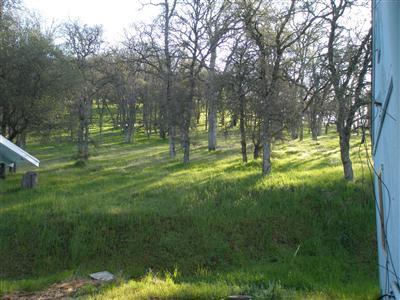 2201 Swallow Rd, Placerville, CA 95667 photo 4