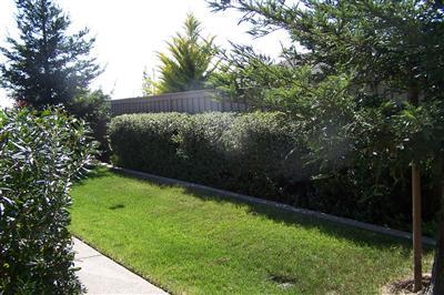 2474 Longspur Loop, Lincoln, CA 95648 photo 2