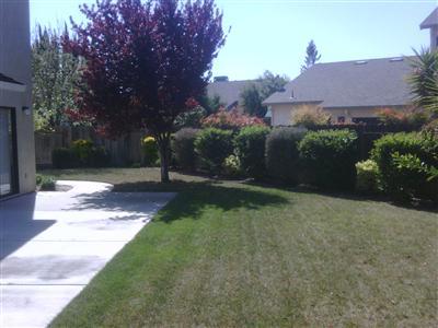 1503 Alyssa Pl, Manteca, CA 95337 photo 9