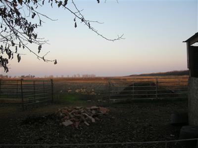 2230 Kniebes Rd, Gustine, CA 95322 photo 10