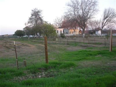 2230 Kniebes Rd, Gustine, CA 95322 photo 9