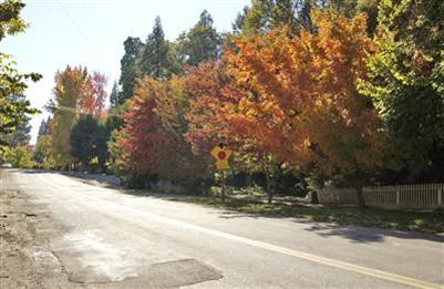 421 Nevada St, Nevada City, CA 95959 photo 9