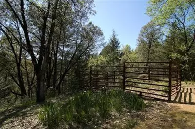 21365 Back Dr, Colfax, CA 95713 photo 12