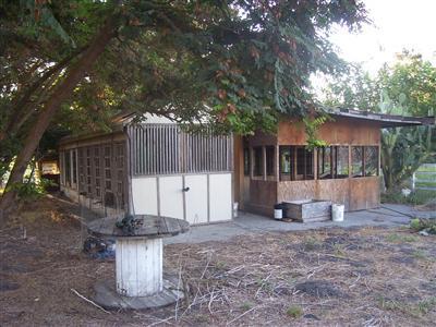 7080 W Carmellia Ave, Dos Palos, CA 93620 photo 6