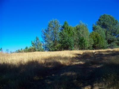 4052 Clear Ct, Placerville, CA 95667 photo 11
