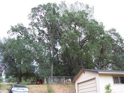 4052 Clear Ct, Placerville, CA 95667 photo 5