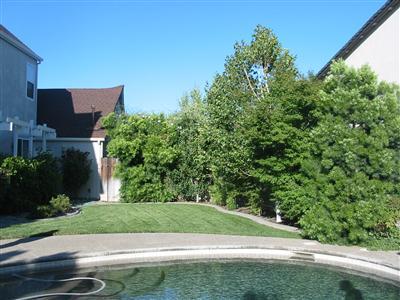 1709 Hemstead Ave, Modesto, CA 95355 photo 3