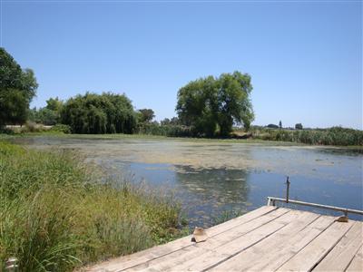 4600 Claus Rd, Modesto, CA 95357 photo 1