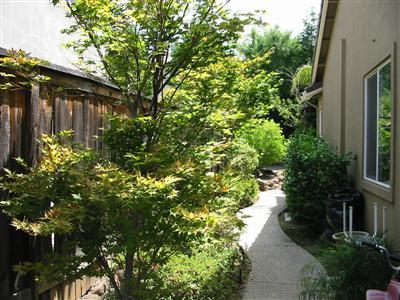 316 Marsh Hawk Dr, Folsom, CA 95630 photo 4