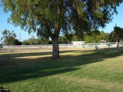 22962 Mountain House Pkwy, Tracy, CA 95391 photo 8