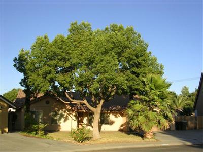 1520 Cartwright Ct, Modesto, CA 95351 photo 2