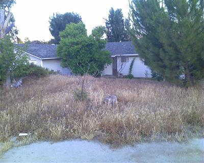 2866 Heney Ln, Valley Springs, CA 95252 photo 1