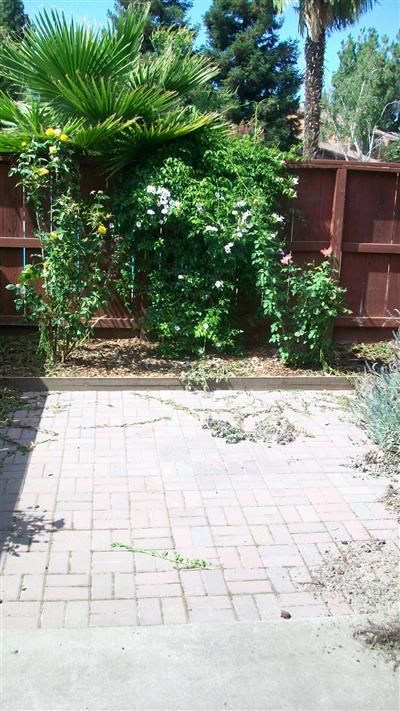 4013 Elmo Loop #b, Modesto, CA 95356 photo 6
