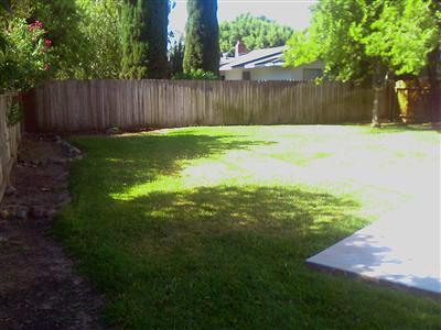 1404 Alder Pl, Davis, CA 95618 photo 3