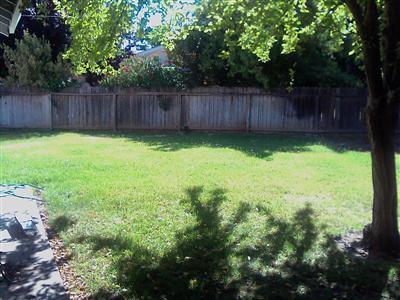 1404 Alder Pl, Davis, CA 95618 photo 2