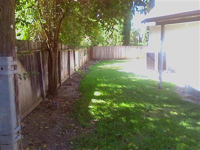 1404 Alder Pl, Davis, CA 95618 photo 4