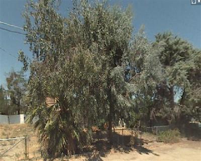 1867 Rainbow Ln, Modesto, CA 95351 photo 1