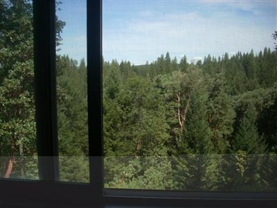 6428 Pine Zette Ln, Placerville, CA 95667 photo 7