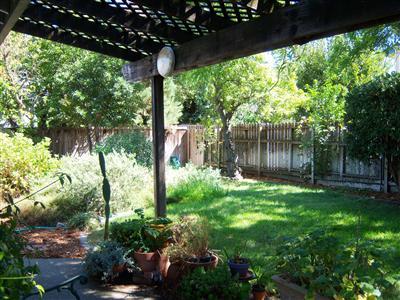 1920 Humboldt Ave, Davis, CA 95616 photo 8