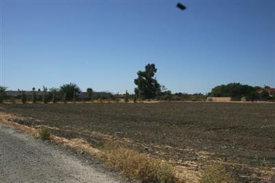 23595 Hansen Rd, Tracy, CA 95304 photo 6