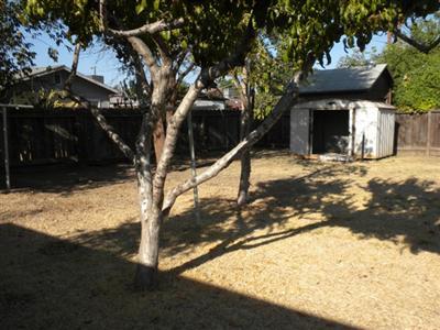 1529 Placer Ave, Modesto, CA 95358 photo 4