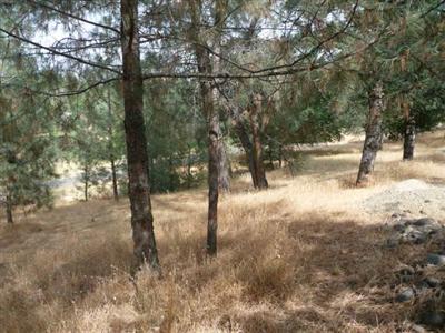 2870 Highgrade St, Placerville, CA 95667 photo 7