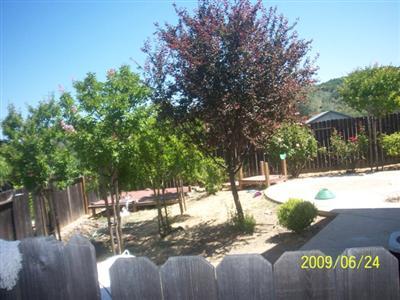2368 Drake Ct, Placerville, CA 95667 photo 6