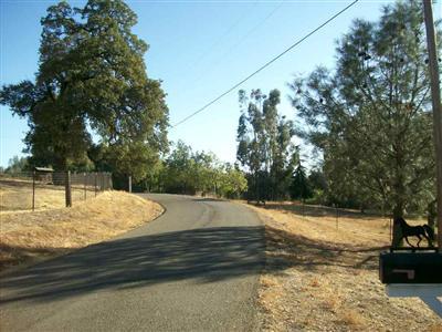 1164 Large Oak Dr, Placerville, CA 95667 photo 1