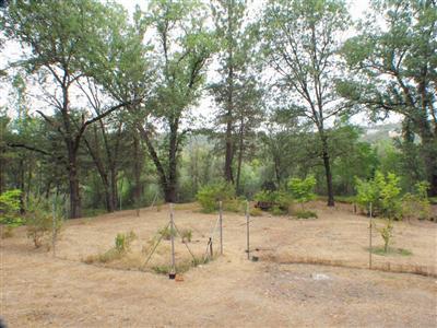 6355 Browns Rd, Placerville, CA 95667 photo 11