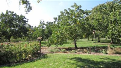 249 Roscoe Rd, Modesto, CA 95357 photo 7