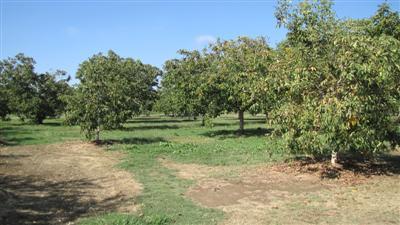 249 Roscoe Rd, Modesto, CA 95357 photo 4