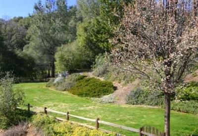 3650 Masada Ct, Placerville, CA 95667 photo 11