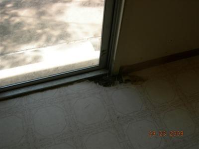 1615 Wet Spg, Murphys, CA 95247 photo 2