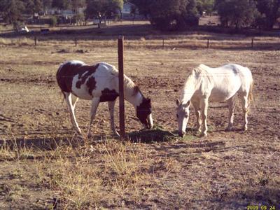 5983 Highway 12, Valley Springs, CA 95252 photo 11