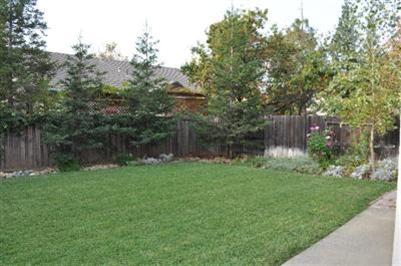 2218 Glacier Dr, Davis, CA 95616 photo 3