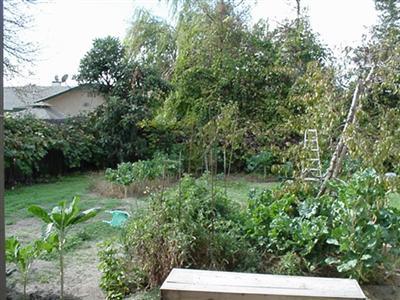 8295 Winfield Dr, Hilmar, CA 95324 photo 7