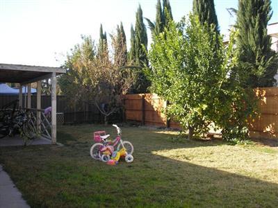 817 Sugar Pine Dr, Lathrop, CA 95330 photo 9