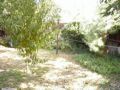 2430 6th St, Hughson, CA 95326 photo 5