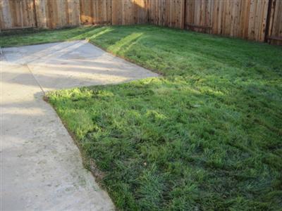 8255 Silk Tree Way, Antelope, CA 95843 photo 9