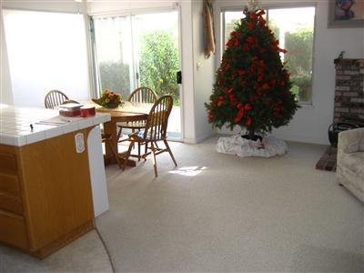 145 Mount Hamilton Dr, Tracy, CA 95376 photo 4